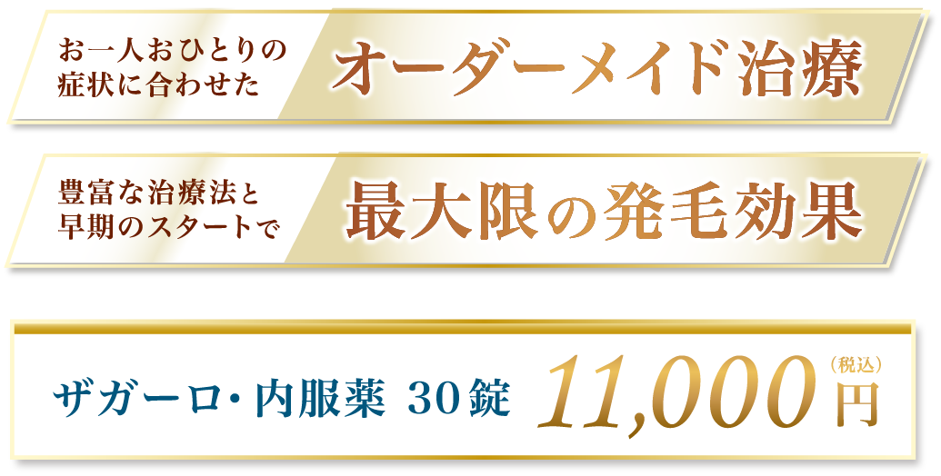 お一人おひとりの症状に合わせた オーダーメイド治療 豊富な治療法と早期のスタートで 最大限の発毛効果 ザガーロ・内服薬 30錠 11,000円(税込)