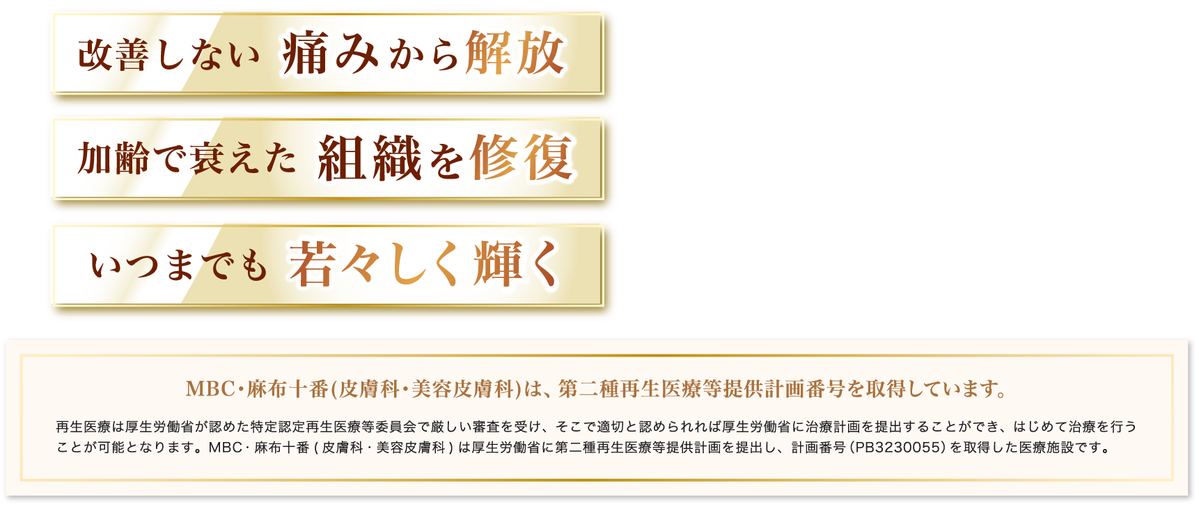 改善しない痛みからの解放 加齢で衰えた組織を修復 いつまでも若々しく輝く