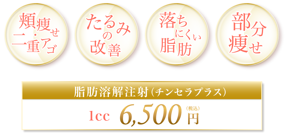 頬痩せ・二重アゴ たるみの改善 落ちにくい脂肪 部分痩せ 脂肪溶解注射（チンセラプラス） 1cc 6,500円(税込)