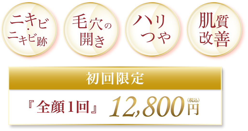 ニキビ・ニキビ跡の改善 毛穴の開き ハリツヤ 肌質改善 初回限定『全顔1回』12,800円(税込)