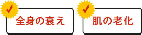 全身の衰え、肌の老化