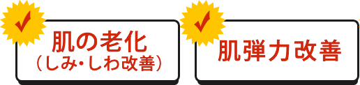 肌の老化（しみ・しわ改善）、肌弾力改善