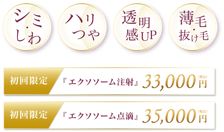 シミ・しわ ハリつや 透明感UP　薄毛・抜け毛 初回限定『エクソソーム注射』33,000円税込 初回限定『エクソソーム点滴』35,000円税込