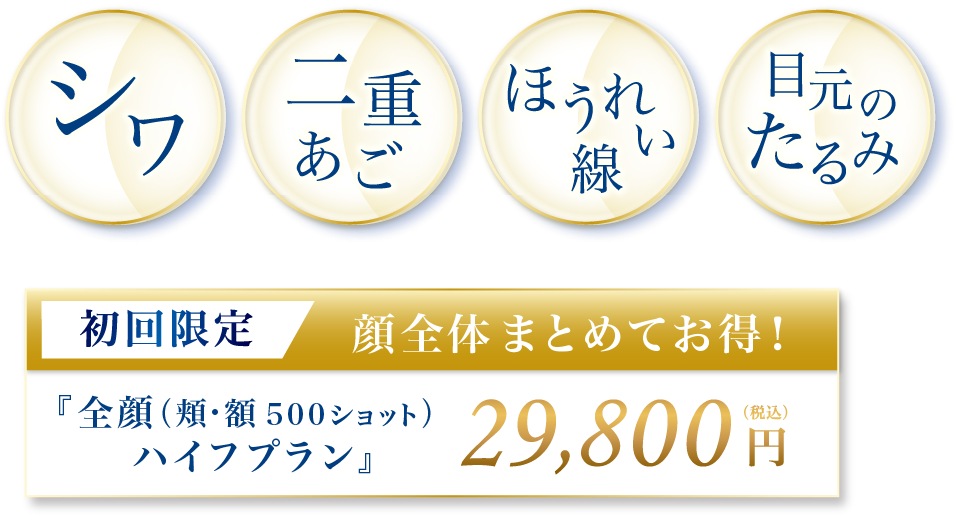 シワ 二重あご ほうれい線 目元たるみ 初回限定 顔全体まとめてお得！『全顔(頬・額 500ショット) 29,800円(税込)