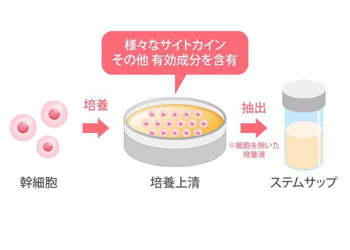 様々なサイトカイン、その他有効成分を含有