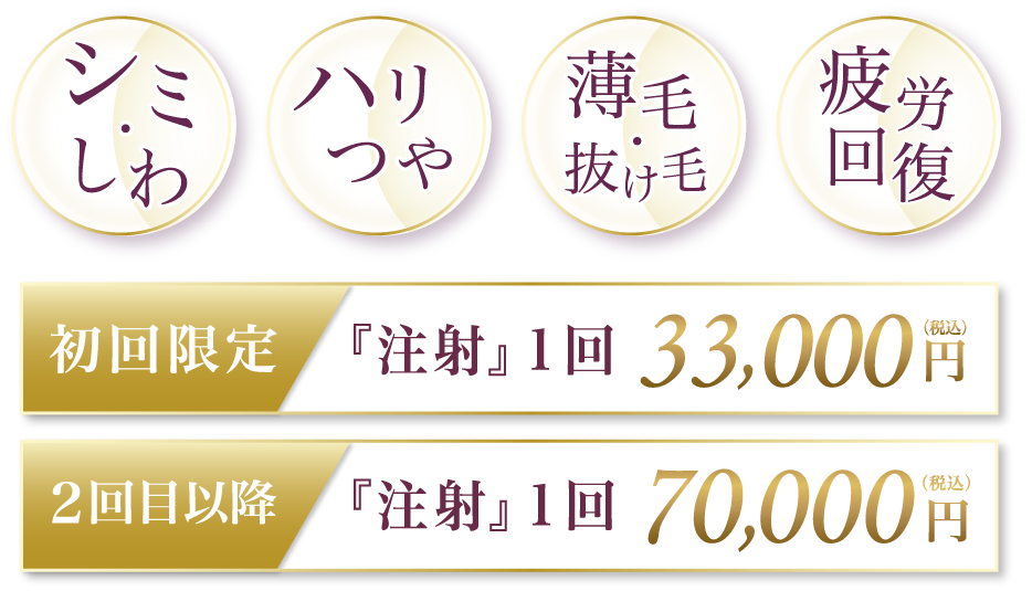 シミ・しわ ハリつや 薄毛・抜け毛 疲労回復 初回限定『注射』1回 33,000円(税込) 2回目以降『注射』1回 70,000円(税込)