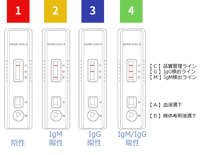 kit result