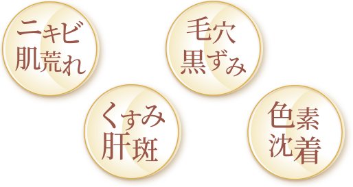 ニキビ肌荒れ くすみ肝斑 毛穴黒ずみ 色素沈着