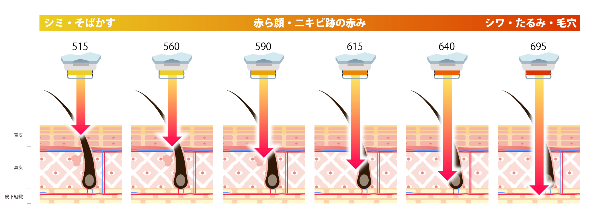 イメージ図