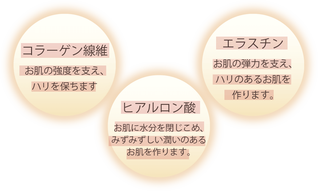 コラーゲン線維 お肌の強度を支え、ハリを保ちます。ヒアルロン酸 お肌に水分を閉じ込め、みずみずしい潤いのあるお肌を作ります。エラスチン お肌の弾力を支え、ハリのあるお肌を作ります。