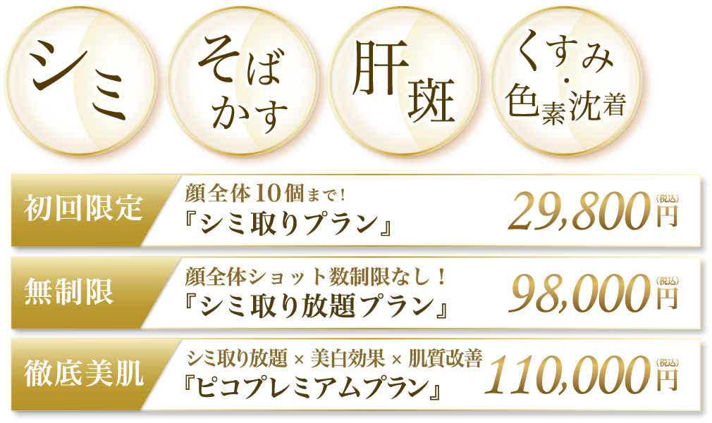 シミ そばかす 肝斑 くすみ・色素沈着 初回限定 顔全体10個まで！『シミ取りプラン』29,800円税込 徹底美肌 ピコスポットシミ取り放題×ピコトレーニング美肌効果×ピコフラクショナル肌質改善『ピコプレミアムプラン』110,000円税込