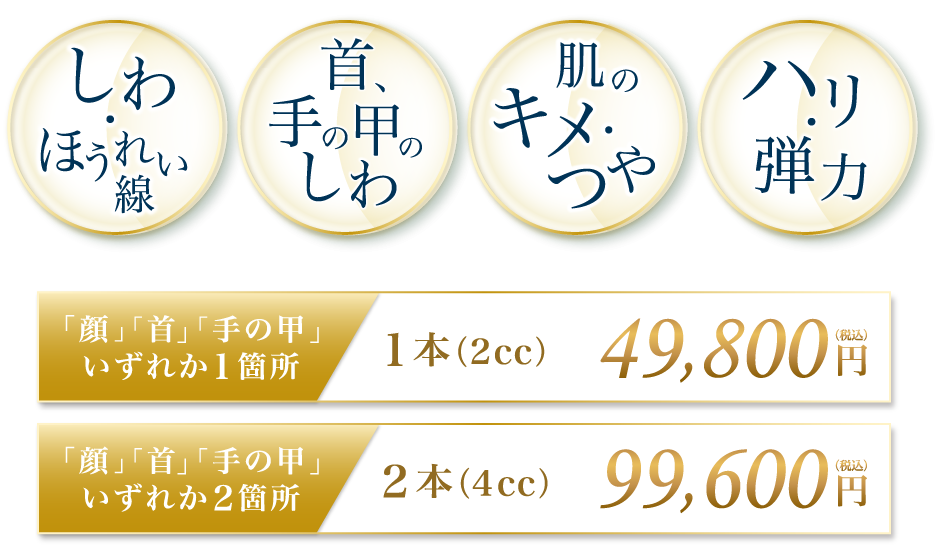 首のシワを改善 シワ・たるみの改善 ほうれい線やゴルゴ線を改善 顔全体を自然に若返らせる プロファイロ 顔1回（2回分）178,000円税込