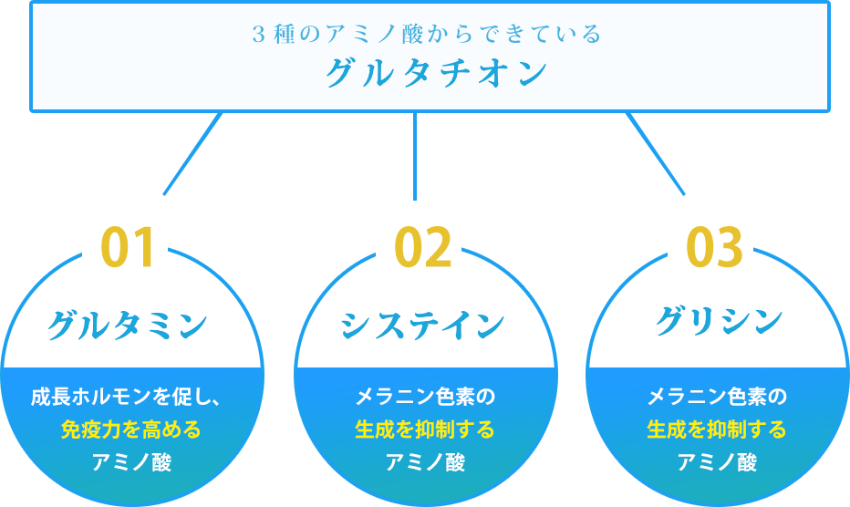 ３種のアミノ酸からできているグルタチオン 01グルタミン 成長ホルモンを促し、免疫力を高めるアミノ酸 02システイン メラニン色素の生成を抑制するアミノ酸 03グリシン メラニン色素の生成を抑制するアミノ酸