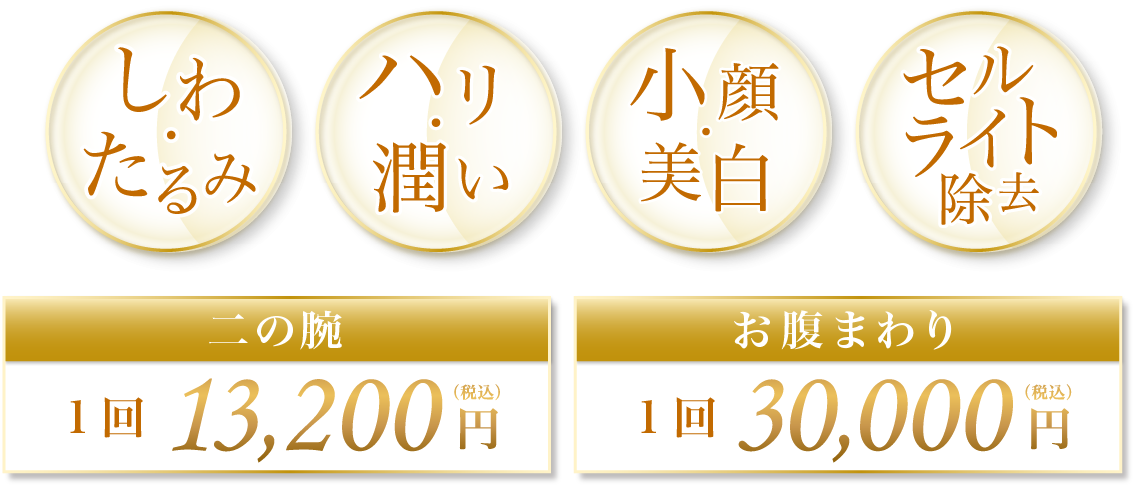 しわ・たるみ ハリ・潤い 小顔・美白 セルライト除去 二の腕 1回 13,200円 (税込) お腹周り 1回 30,000円(税込) 