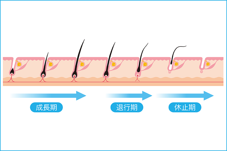 脱毛の仕組み