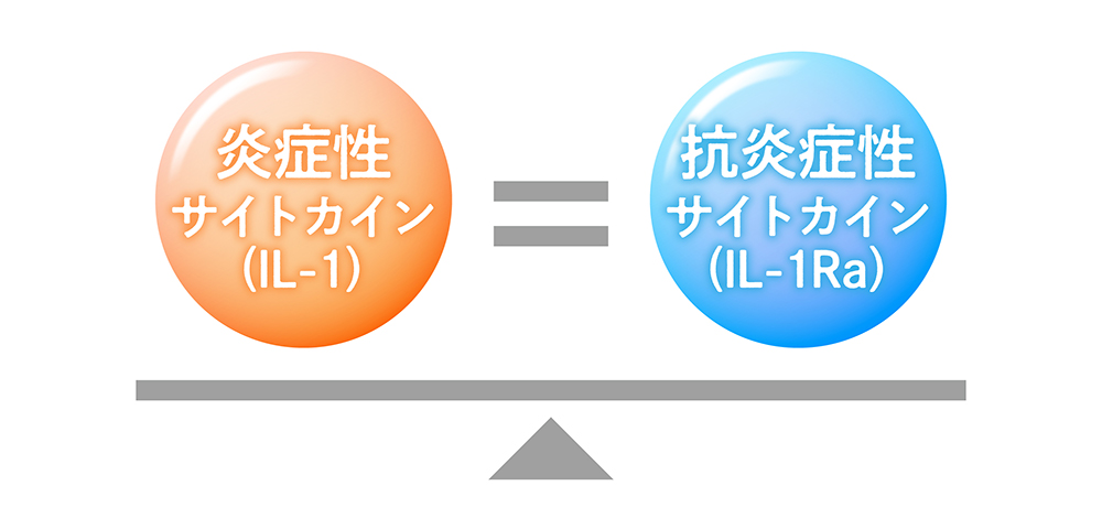 サイトカインリッチの働き