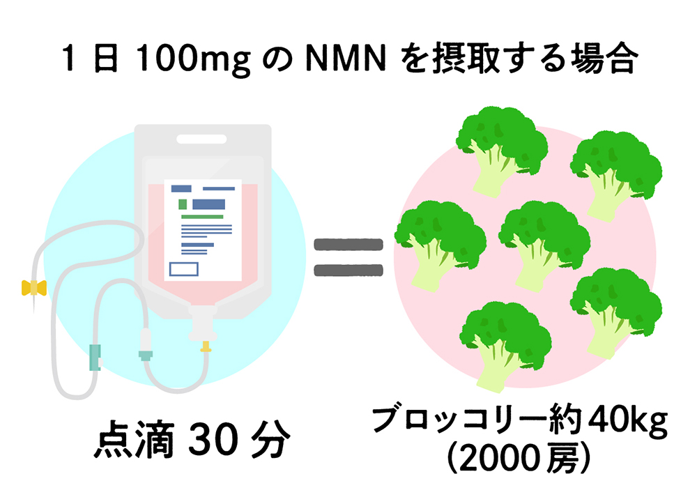 食物に含まれるNMN