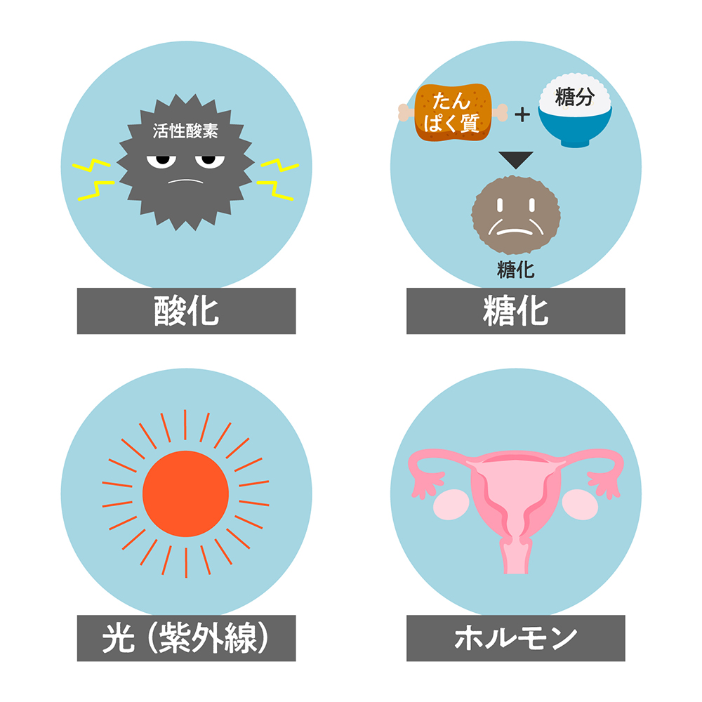 日常生活でアンチエイジングに効果が期待できること