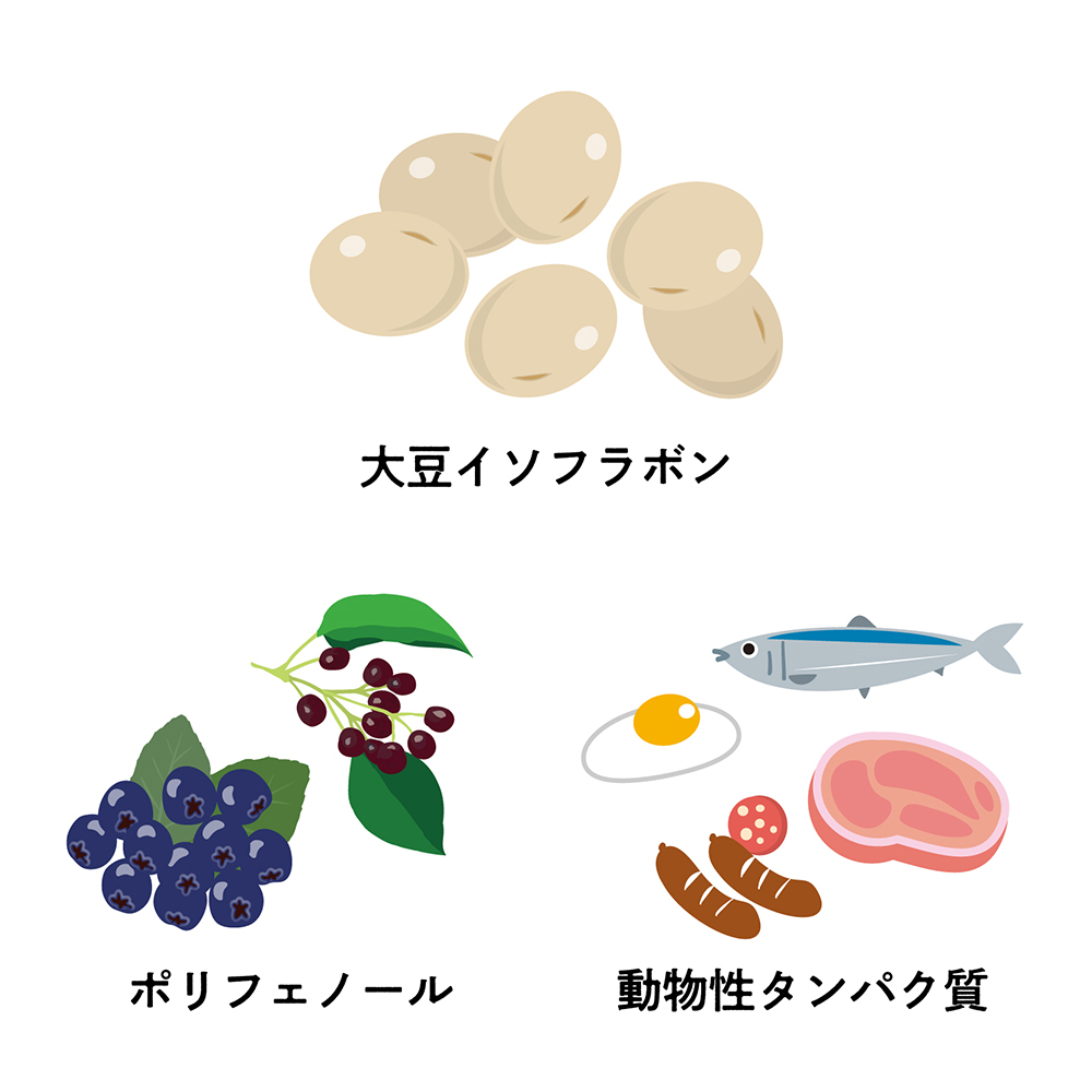 おすすめの食べ物3選