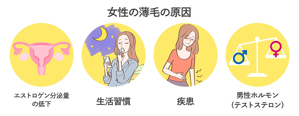 女性の薄毛の原因