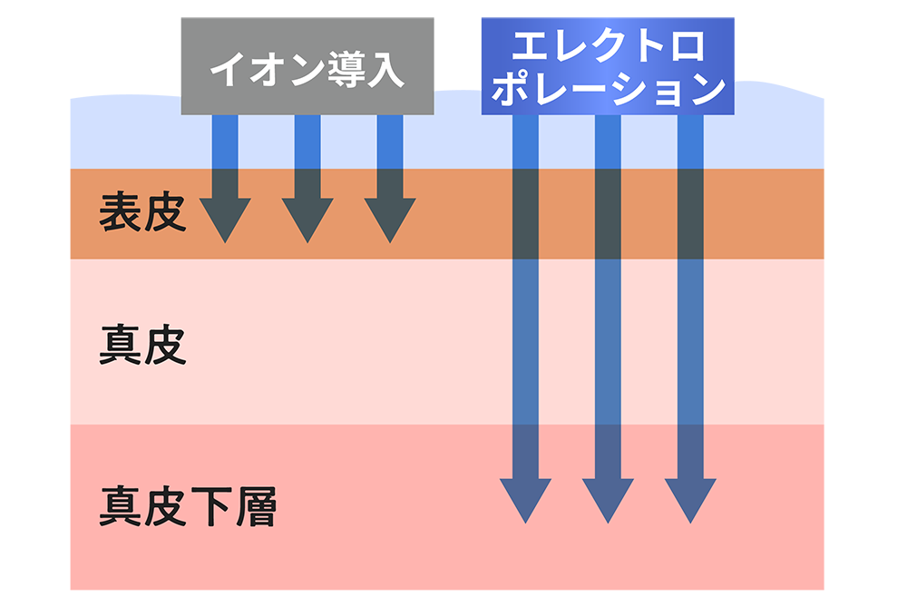 エレクトロポレーションとは